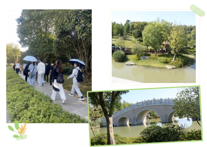 下载 (1).png